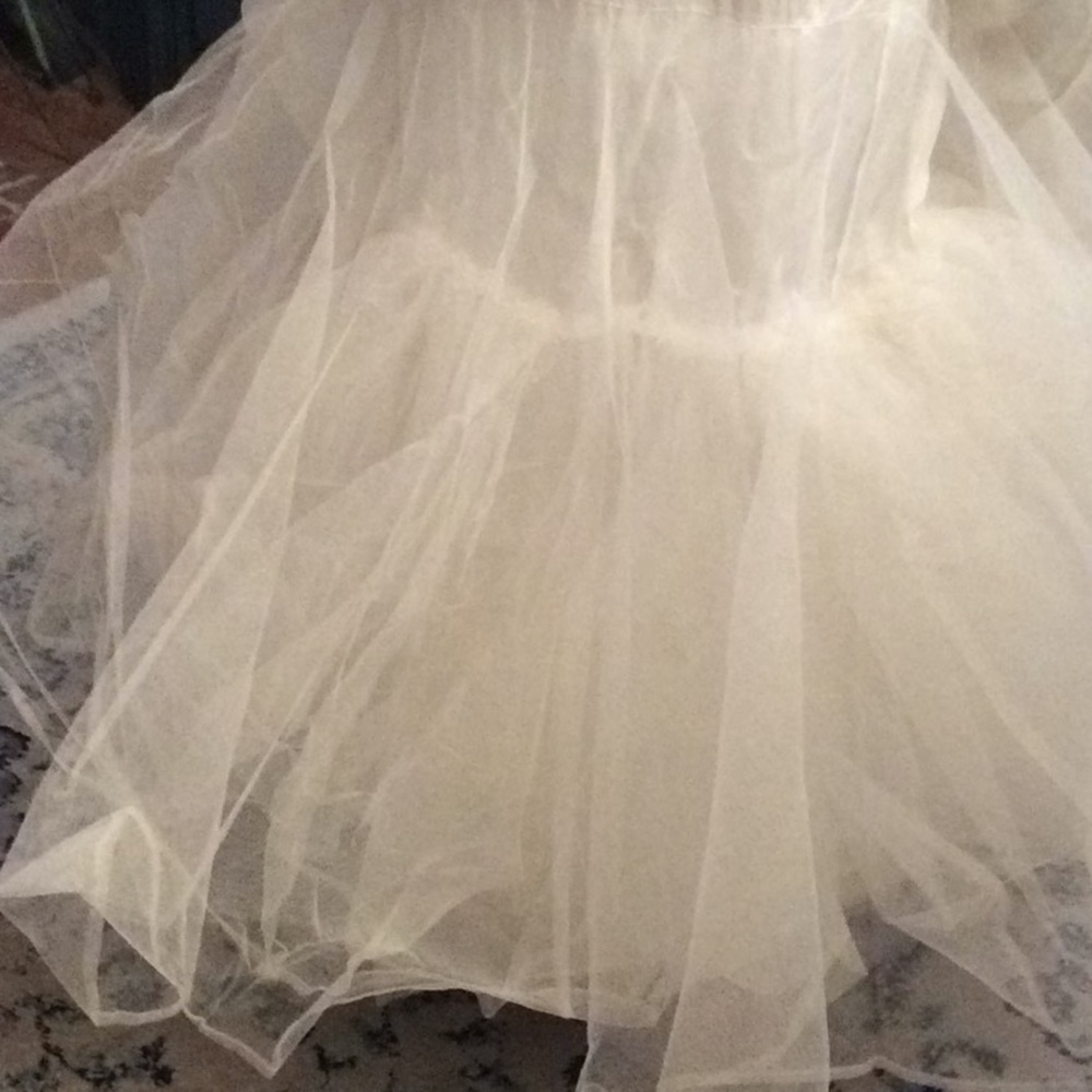 WATTERS BRIDE Plus Size Wedding Dress - Picture 7 of 10